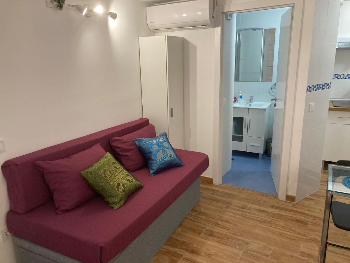 Malaguena Salerosa "Apartamento - Estudio Con Terraza" En Casa Tipica De 1 A 4 Dormitorios Malaga Luaran gambar